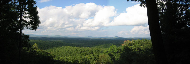 site banner